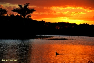 Sunset in the Glades